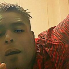 Bilingual (rolemodel cover)