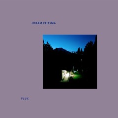 Bigamo 11 | Joram Feitsma - Flux