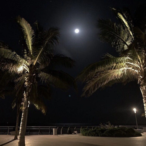 على هونك تظن مافيه مثلك!