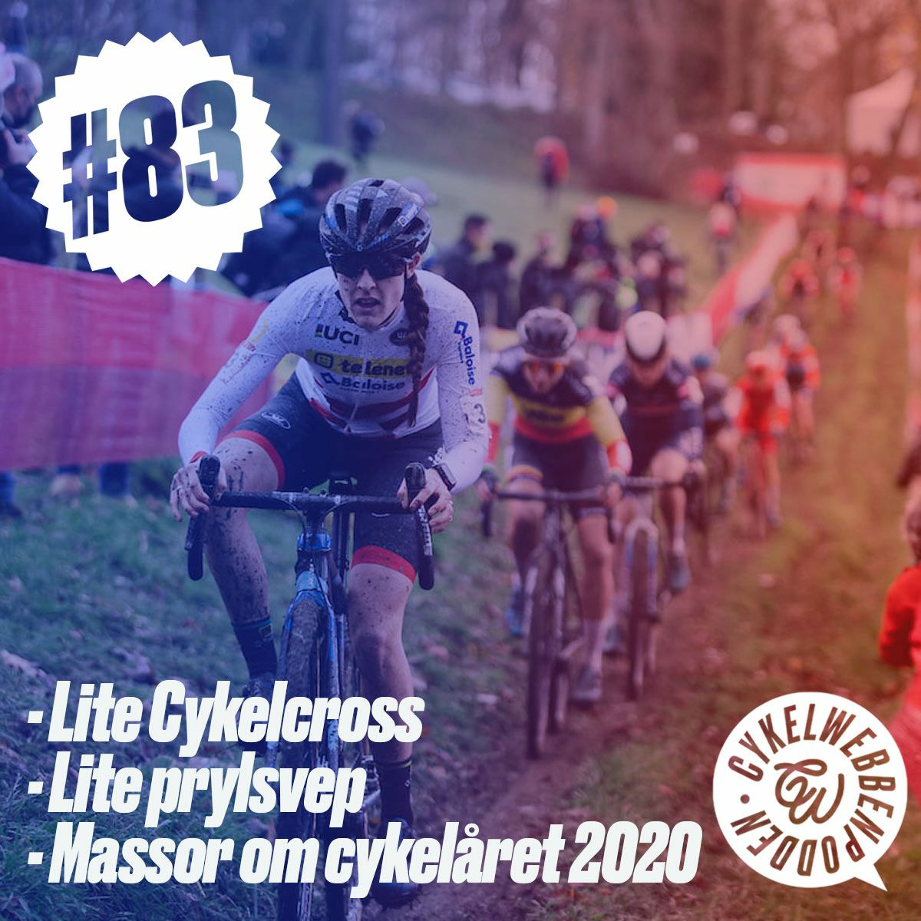 CykelwebbenPodden