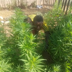 Hold It Down ft.Romero