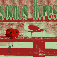 Somos Livres (Cover)