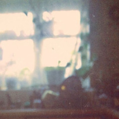 Show Me Someone Who Cares