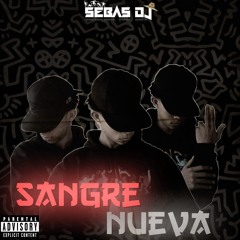 SANGRE NUEVA🇧🇷🌪️-(SEBAS DJ)_DUTCH-BRASIL