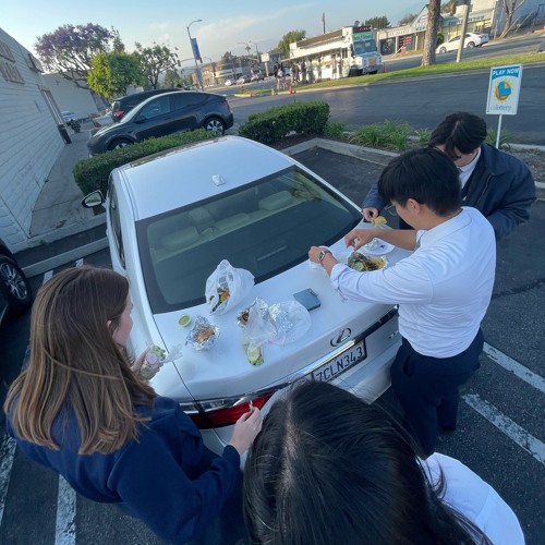 Through many conversations (with the Walnuts)