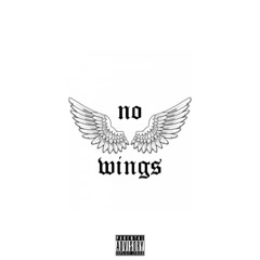 no wings but I can fly (prod. bowsa)