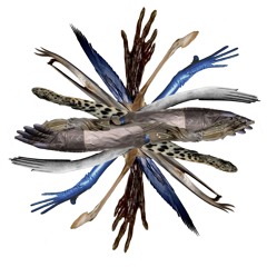 nitrogen narcosis exp