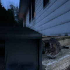 it just feels so heavy