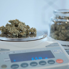 Trap Hot🔥🔥🔥🔥