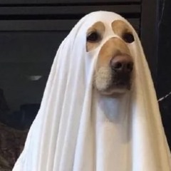 ghost