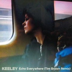 Echo Everywhere (Tim Brown Remix)