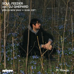 Soul Feeder avec DJ GHEPARD - 25 Novembre 2022