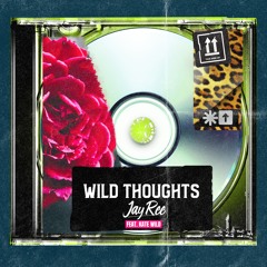 Wild Thoughts Jay-Ree Feat. Kate Wild (TikTok Duet) Free Download