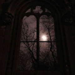 serpent's embrace🦇 (prod. me/sleepnsleep)