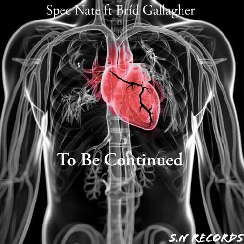 Spec Nate Ft Bríd Gallagher  - To Be Continued