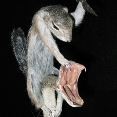 HEALTHBAR (prod kreepoz)