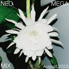 NMM#3 Bloom / August,2023