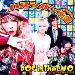 DOG in The PWO - Yuugure no shazai 夕暮れの謝罪 (cover)