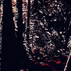 Had us in the first half not gonna lie