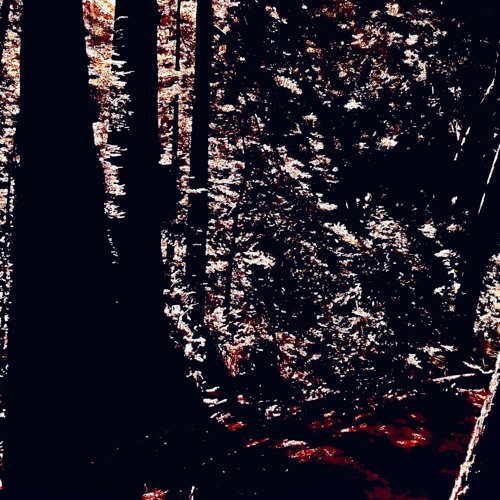 Had us in the first half not gonna lie