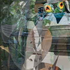 edward the violin and "mandolin" (see description) noodling on the porch in early june