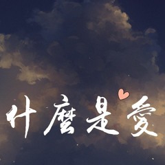 火鸡 - 什么是爱「什么是爱爱爱爱爱爱爱爱爱爱爱爱爱」【動態歌詞/Lyrics Video】
