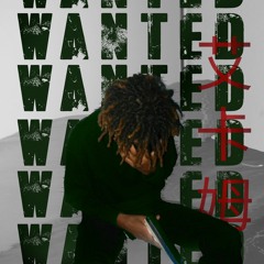 WANTED - Prod.Manblood
