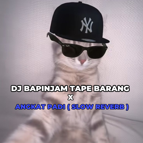 Bapinjam Tape Barang X Angkat Padi ( Slow Reverb ).mp3
