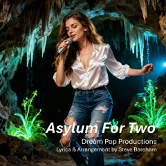 Asylum For Two