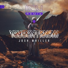 Josh Whiller - You Dont Know (I.C.U REMIX)