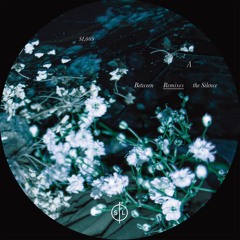Lost Few - Indecision (Karim Maas Remix)