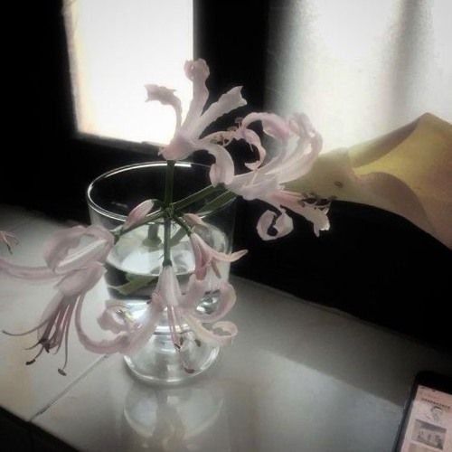 my love by route 94 (slowed;best part)