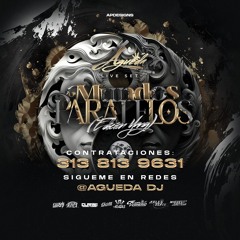 MUNDOS PARALELOS 2.0 (EDITION YANG)