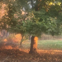 spiderman prod swtch