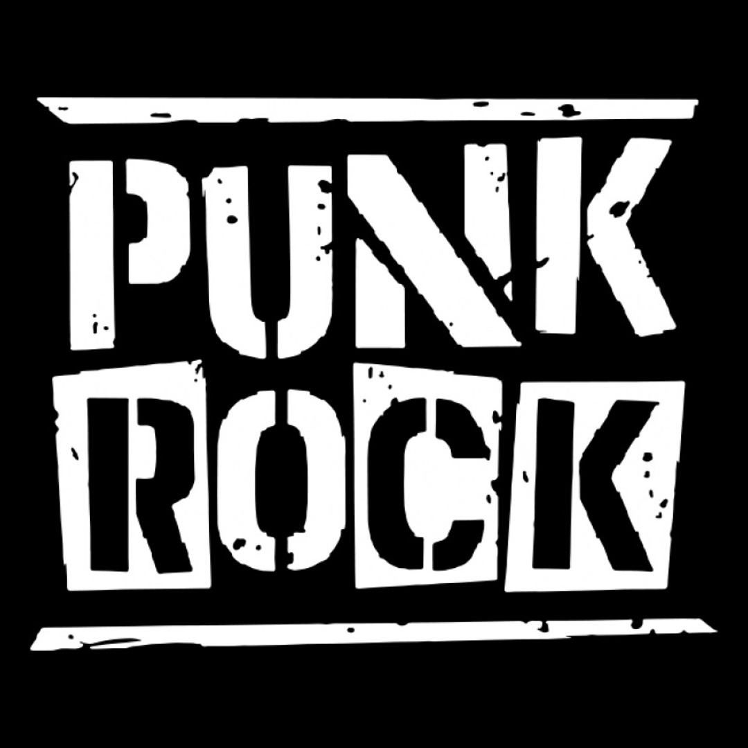 PunkRock ロックスティックス Rockustics 5.25インチ同軸2way岩型