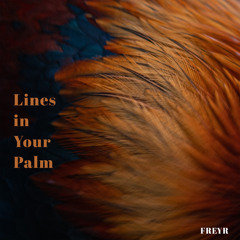 Lines in Your Palm