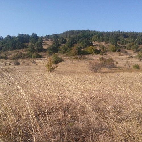 listen to those words you are singing