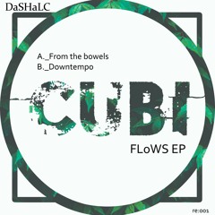 DoWNTeMPo - DaSHaLC (original mix)