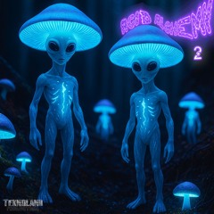 Acid Alchemy 2