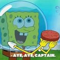 Captain Bikini Bottom