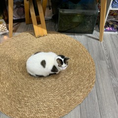 đừng vộii