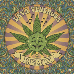 Rita Lee - Erva Venenosa (Dj Tássio Duarte Groove Remix) Free Download