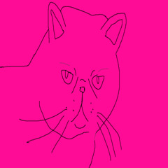 HARDCORE CATCORE