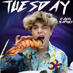 Tuesday