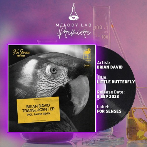 ML Premiere: Brian David - Little Butterfly [For Senses]