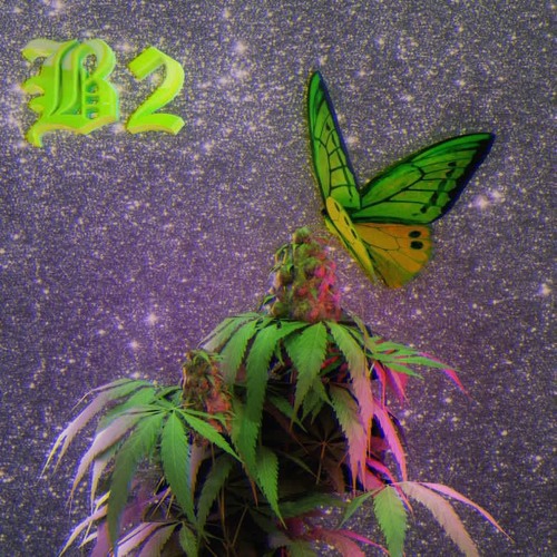 2. Any Beat PROD TOONAMII W  Super$tar Nae
