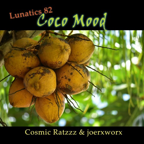 Lunatics 82 // Coco Mood // Cosmic Ratzzz & joerxworx