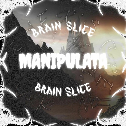 MANIPULATA - BRAIN SLICE