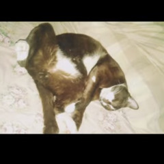 นอนน้อย (Singto)