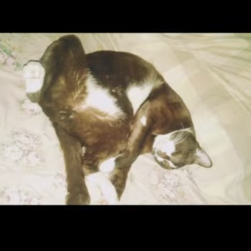 นอนน้อย (Singto)